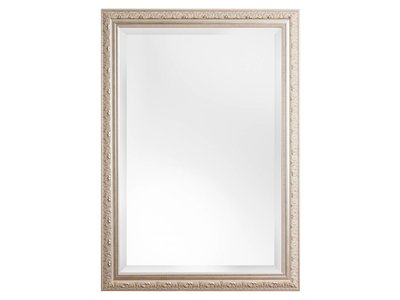 Palmi - Barok Spiegel - Zilveren Frame