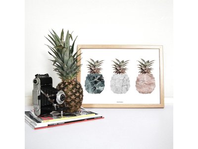 Vontrueba Pineapples / Ananassen