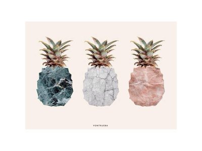 Vontrueba Pineapples / Ananassen