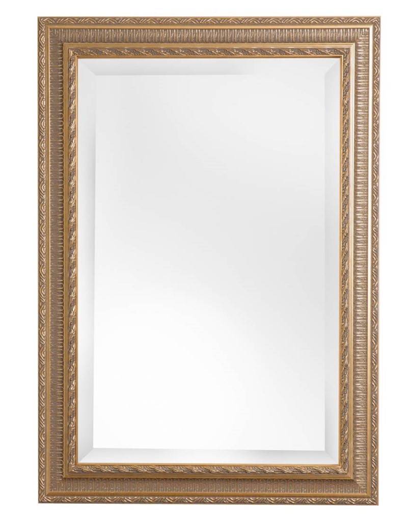 Nyons - Spiegel met Barok Ornamentlijst - Goud Gekleurd Frame