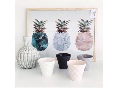 Vontrueba Pineapples / Ananassen