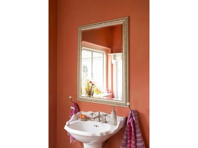 Palmi - Barok Spiegel - Zilveren Frame
