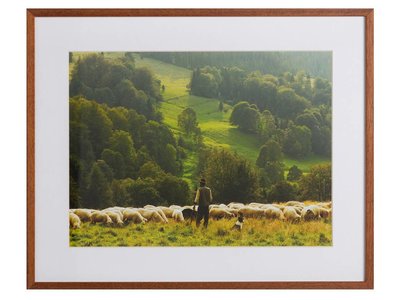 Herder