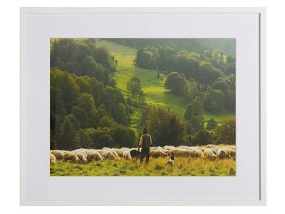 Herder