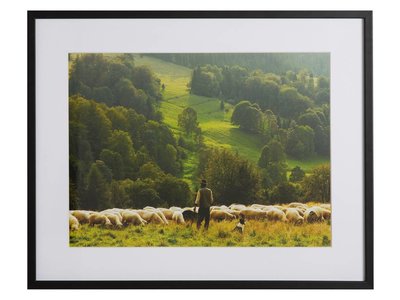 Herder