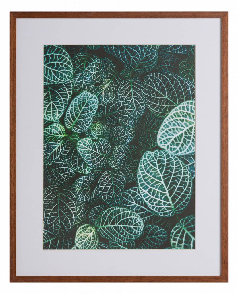 Botanische tuin by Samuel