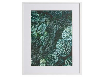 Botanische tuin by Samuel