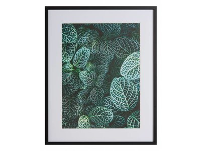 Botanische tuin by Samuel