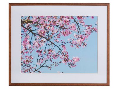 Roze Natuur by Uriel Soberanes