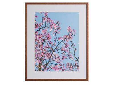Roze Natuur by Uriel Soberanes