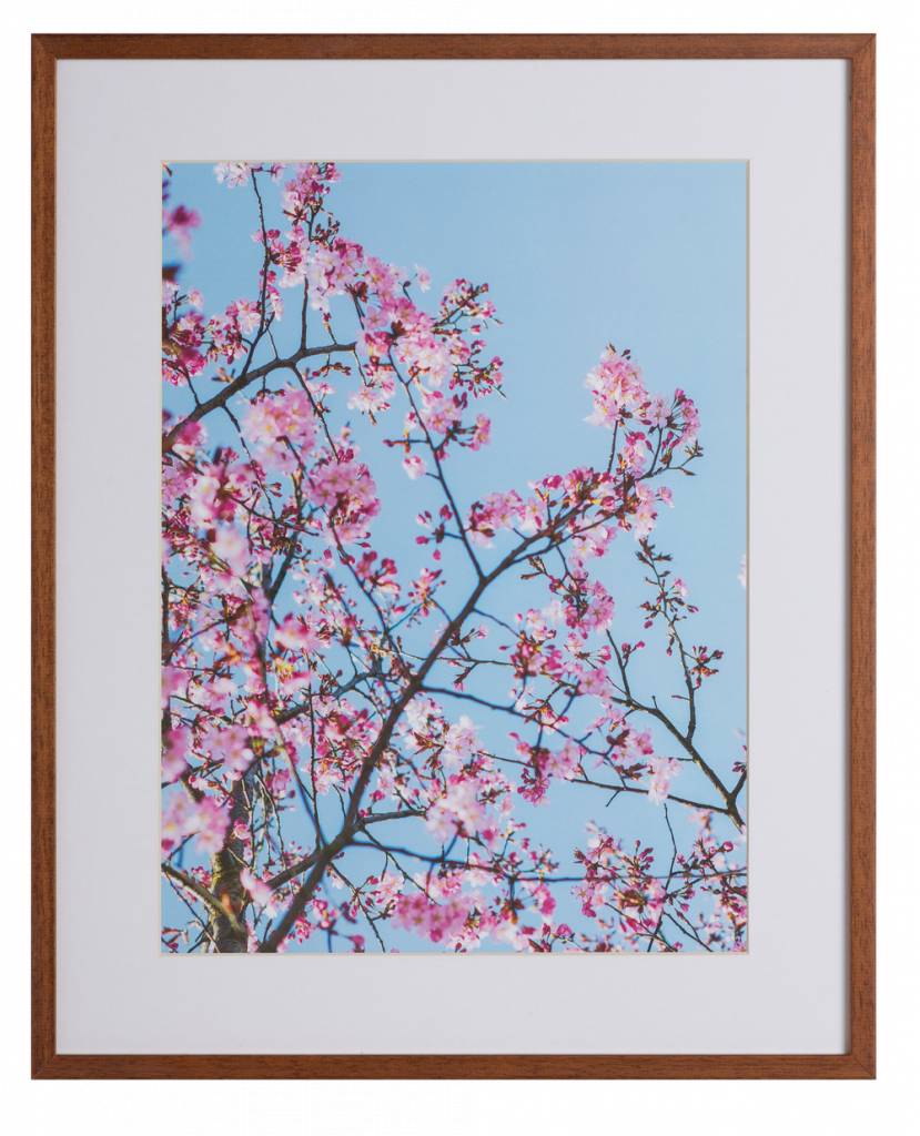 Roze Natuur by Uriel Soberanes
