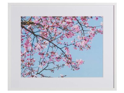 Roze Natuur by Uriel Soberanes