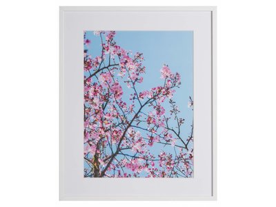 Roze Natuur by Uriel Soberanes