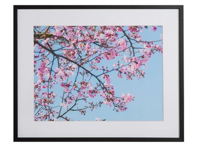 Roze Natuur by Uriel Soberanes
