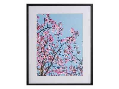 Roze Natuur by Uriel Soberanes