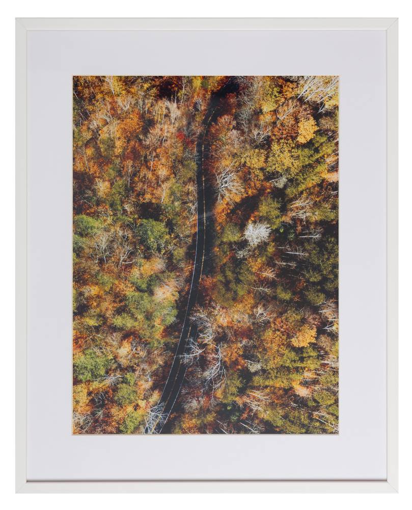 Above the trees by Ruben Gutierrez