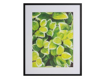 Botanisch by Jeffrey Betts