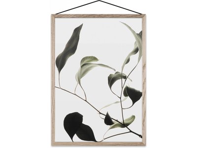 Floating Leaves by Norm Architects (#9) - compleet ingelijst