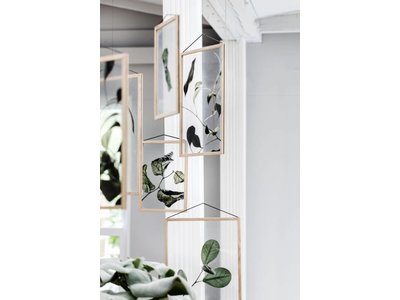 Floating Leaves by Norm Architects (#9) - compleet ingelijst