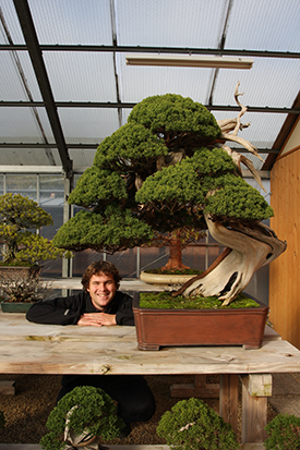 Über Bonsai Plaza - Maarten van der Hoeven