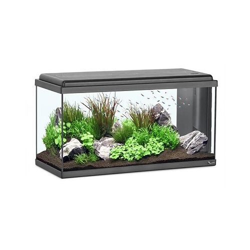 Aquatlantis aquarium online kopen AquastoreXL AquastoreXL.be