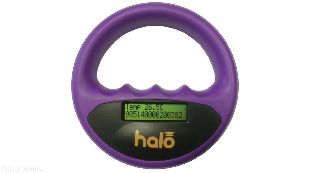 Halo Halo microchip scanner paars