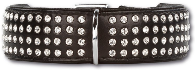 History of dog collars