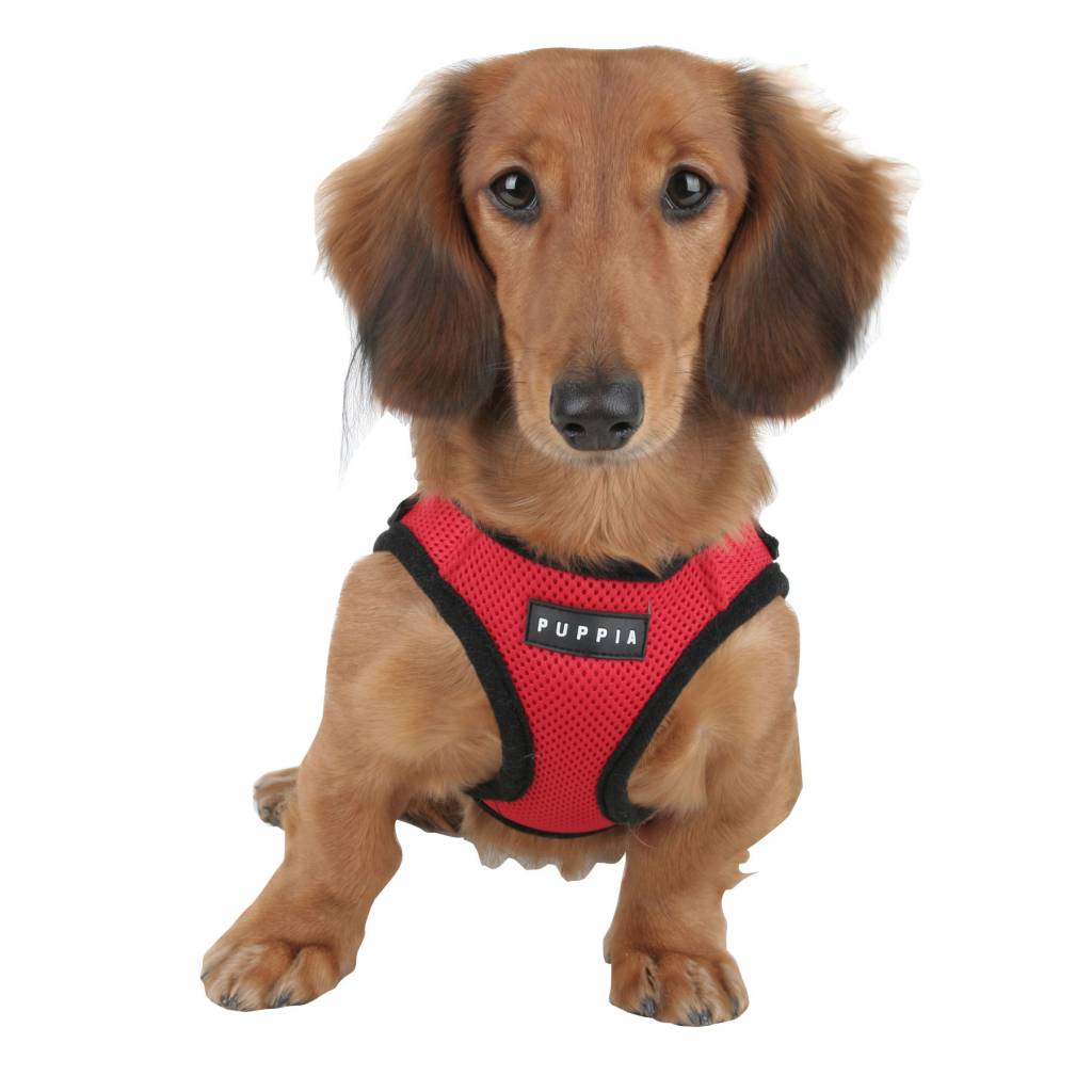 Afbeelding Puppia Soft Harness - XL - Rood door Petsonline
