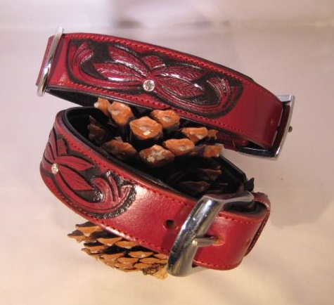Afbeelding Hondenhalsband Savanne Bordeaux door Petsonline