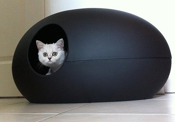 Large Cat Boxes With Lids Large Cat Boxes With Lids