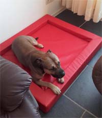 Faux Leather Dog Bed