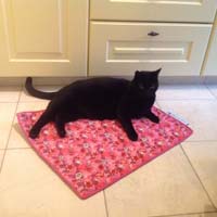Cooling Pad for pets