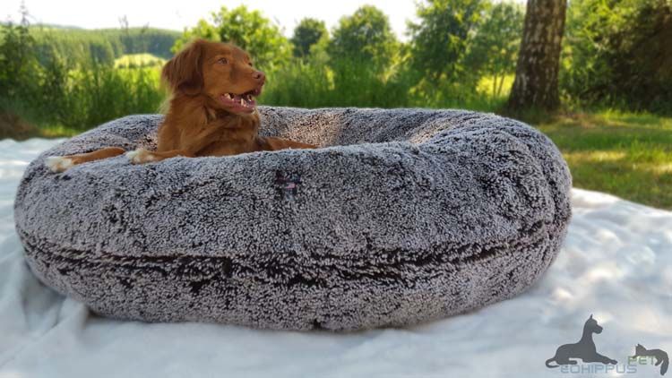 Bessie And Barnie Dog Bagel Bed Frosted Willow Petsonline Bessie And Barnie Dog Bagel Bed Frosted Willow