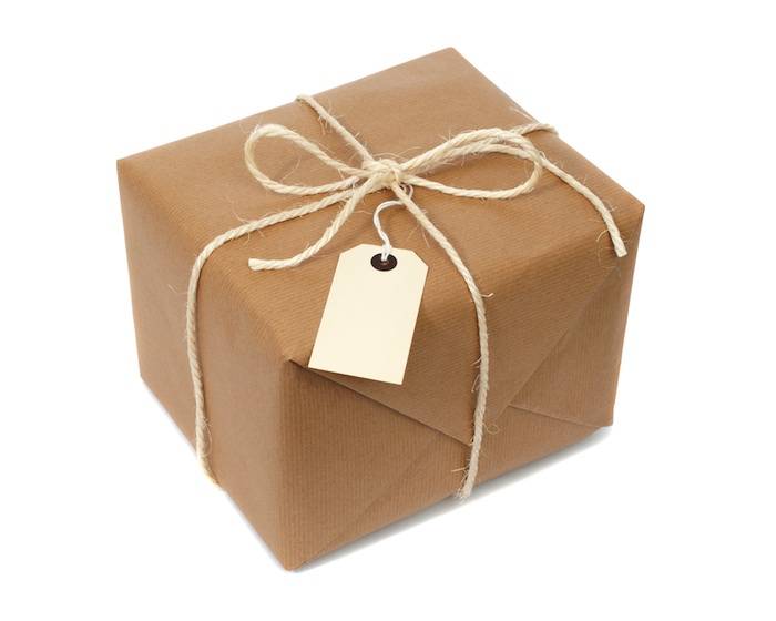 Dropshipping - Portofoon Headsets & Security Oortjes