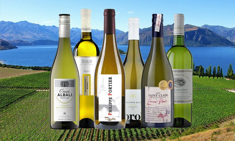 Wijnjournaal, April 2018, Zes Sauvignon Blancs