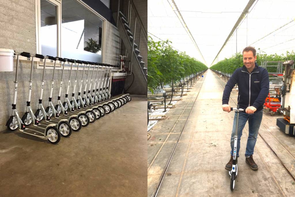 Micro helpt tomaten kweker bloeien