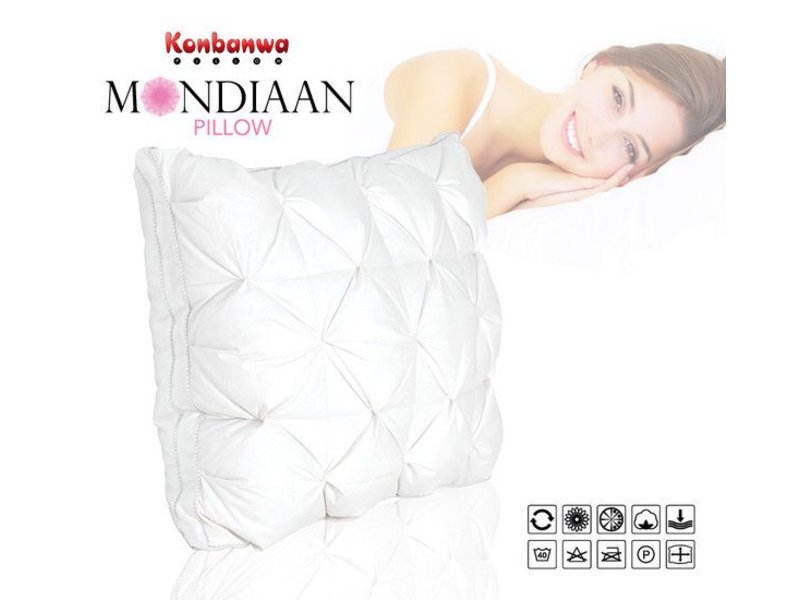 Konbanwa Mondiaan Pillow
