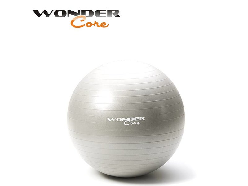 Wonder Core Anti-Burst Gym Ball - 65 cm - Gray