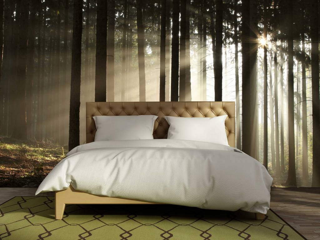 Zelfklevend Fotobehang Bos zonsopgang 2 - Walldesign56.com Zelfklevend Fotobehang Bos zonsopgang 2 - Walldesign56.com