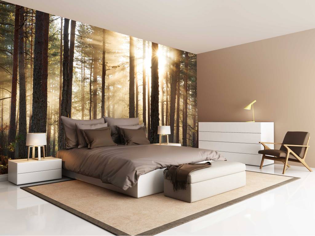 Fotobehang Bos zonsopgang - Walldesign56.com Fotobehang Bos zonsopgang - Walldesign56.com
