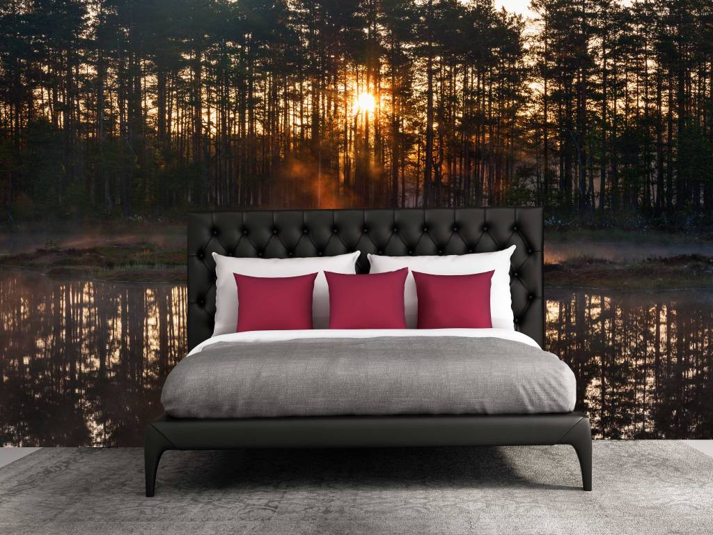Zelfklevend Fotobehang Bos zonsondergang - Walldesign56.com Zelfklevend Fotobehang Bos zonsondergang - Walldesign56.com
