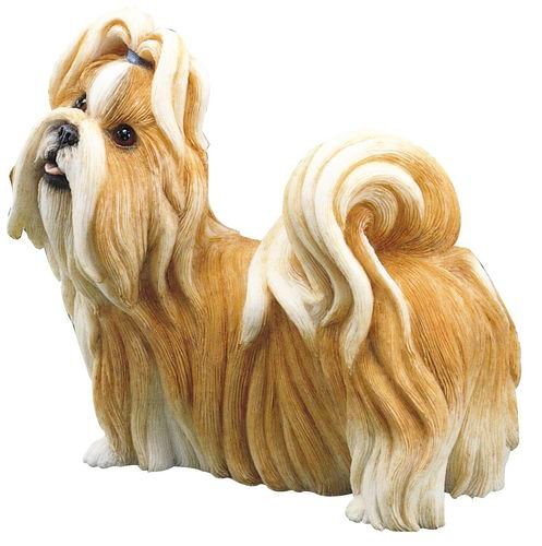 country shih tzu country artists shih tzu gold white friends 2 hold on webshop country shih tzu country artists shih tzu gold white friends 2 hold on webshop