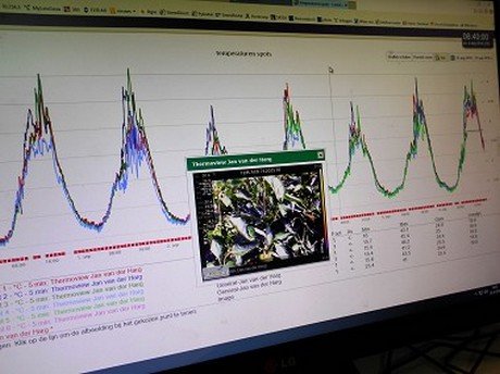 Sensors houden paprika's in de gaten