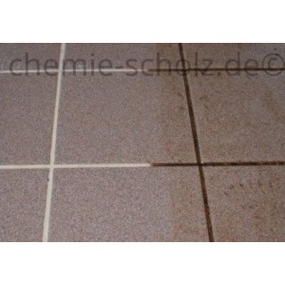 Fatzzo TT Fugenreiniger Forte 1 Liter