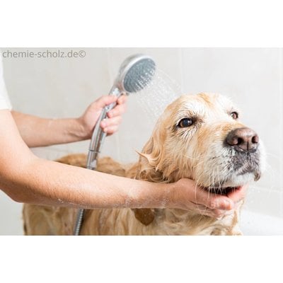 Fatzzo TT Hundeshampoo Samt weiß 5 Liter