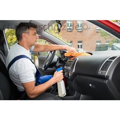 Fatzzo TT Auto Innenreiniger fresh 10 L + 1 leere Sprühflasche