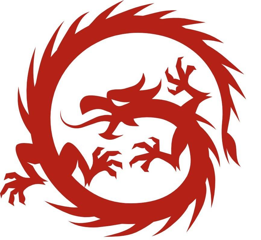 Best Fightshop start met blog op vernieuwde site!