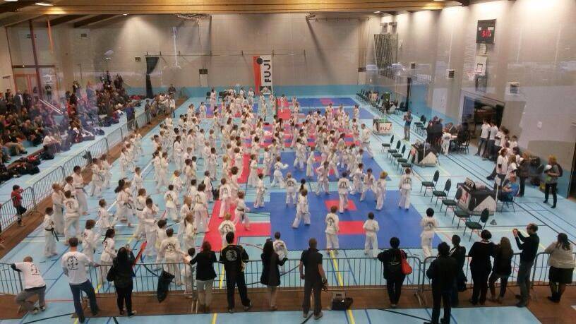 Fuji Mae Cup
