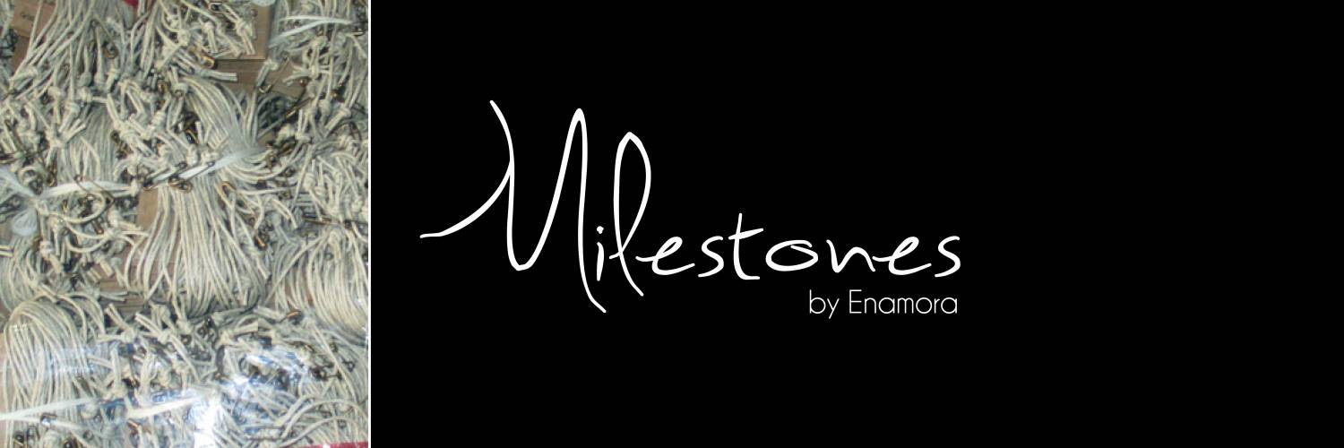 Our first milestones!