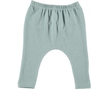 1 + in the family Legging Moni Acqua 1 + in the family Legging Moni Acqua